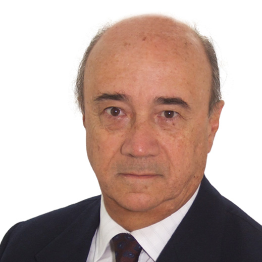 Gustavo J. Enz